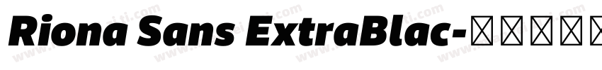 Riona Sans ExtraBlac字体转换